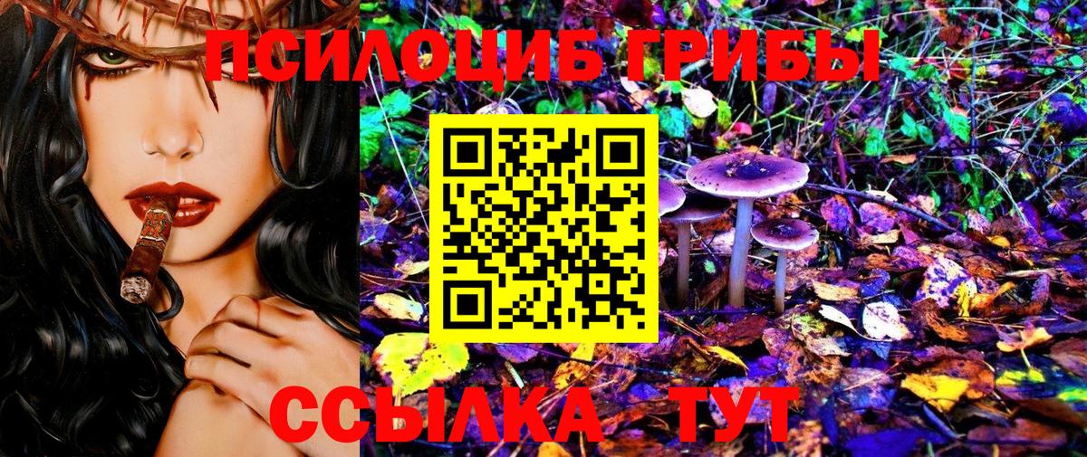 Галлюциногенные грибы прущие грибы  Псилоцибиновые грибы MAGIC MUSHROOMS  наркотики  Зима  Вход с VPN 