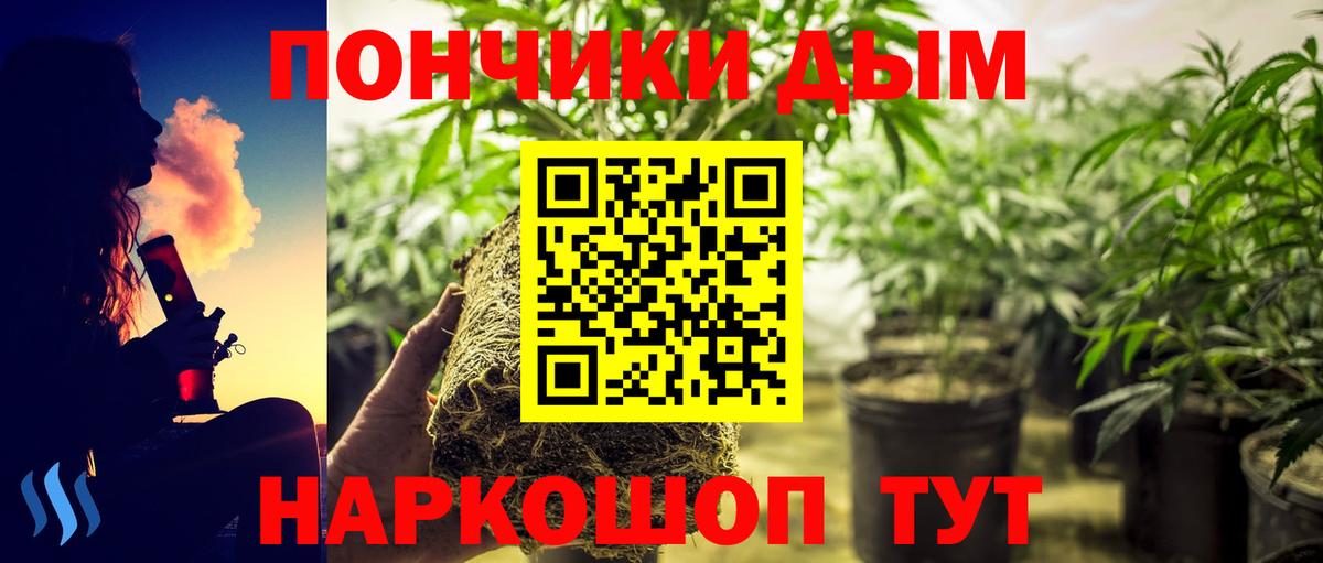 Конопля LSD WEED Зима